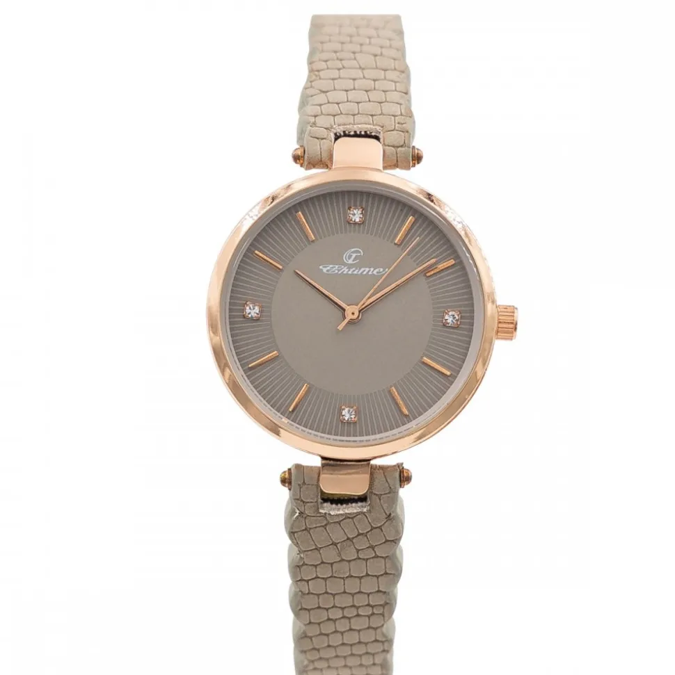 Magnifique Montre pour Femme Gris CHTIME