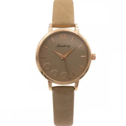 Très Belle Montre pour Femme Brun CHTIME